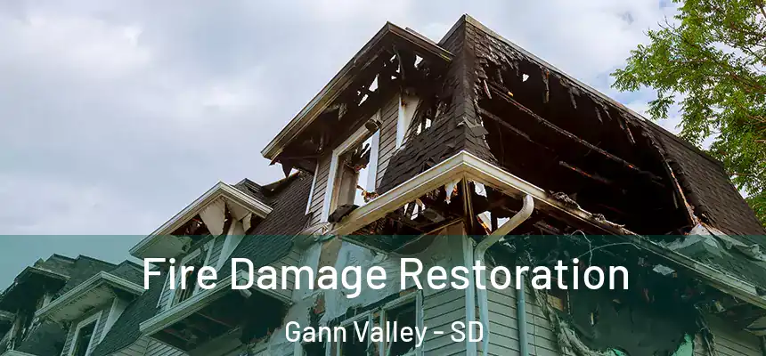  Fire Damage Restoration Gann Valley - SD