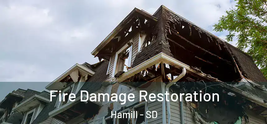 Fire Damage Restoration Hamill - SD