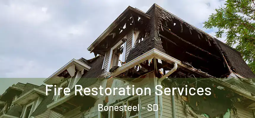  Fire Restoration Services Bonesteel - SD