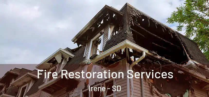  Fire Restoration Services Irene - SD