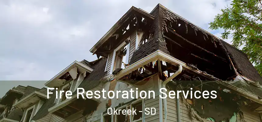  Fire Restoration Services Okreek - SD