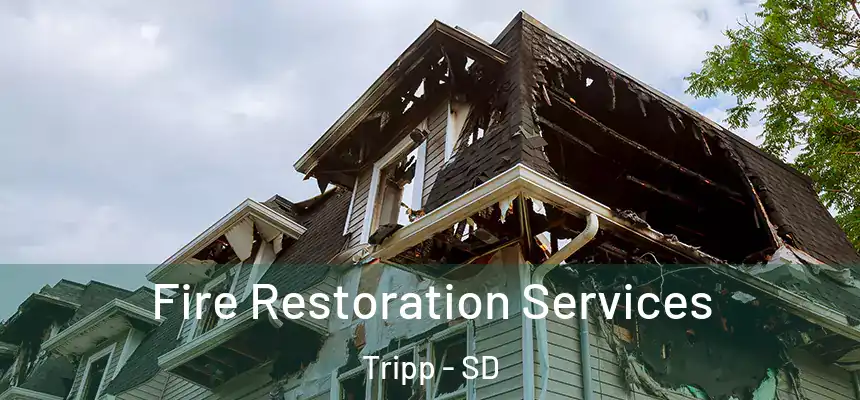  Fire Restoration Services Tripp - SD