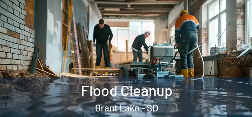  Flood Cleanup Brant Lake - SD