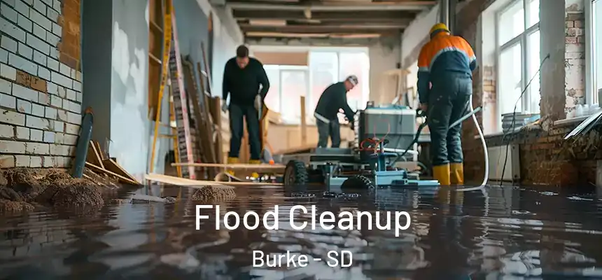  Flood Cleanup Burke - SD