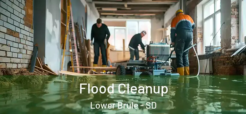  Flood Cleanup Lower Brule - SD