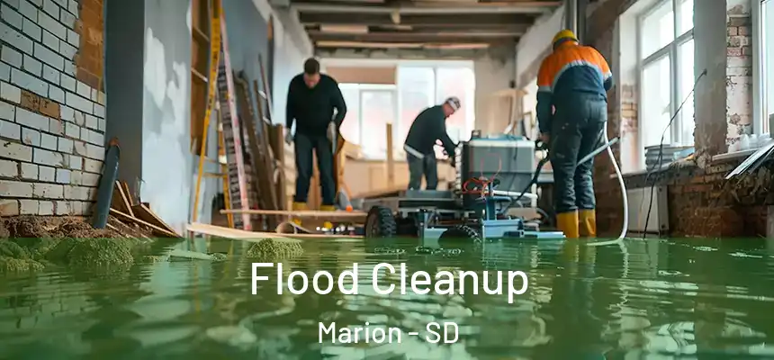 Flood Cleanup Marion - SD