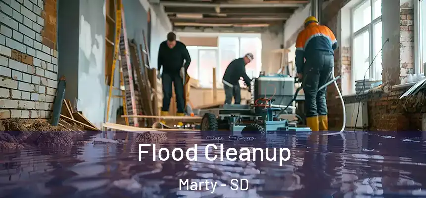  Flood Cleanup Marty - SD