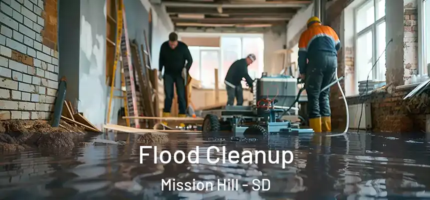 Flood Cleanup Mission Hill - SD