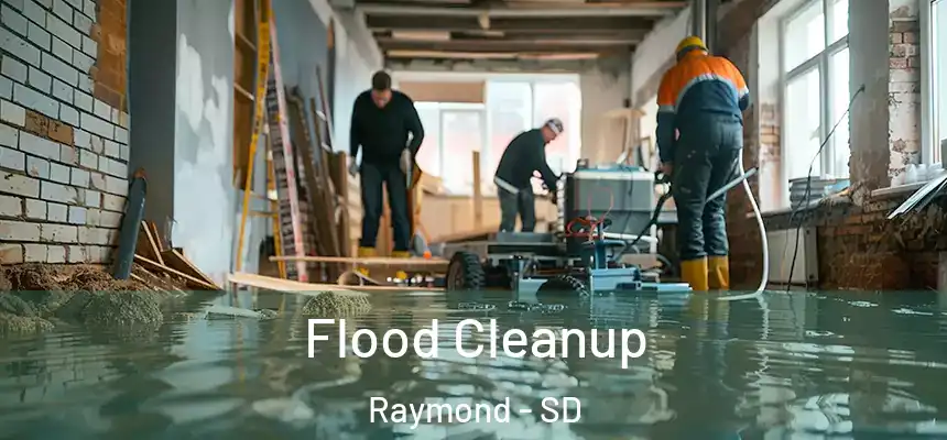  Flood Cleanup Raymond - SD