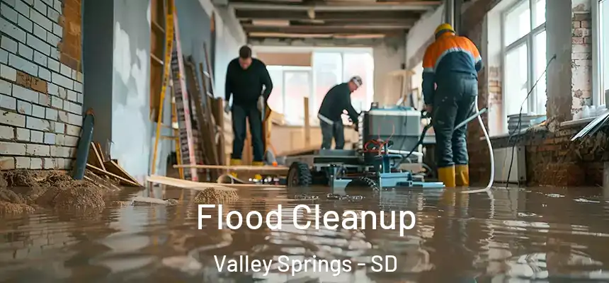  Flood Cleanup Valley Springs - SD