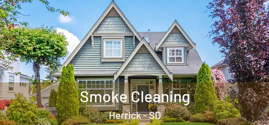 Smoke Cleaning Herrick - SD