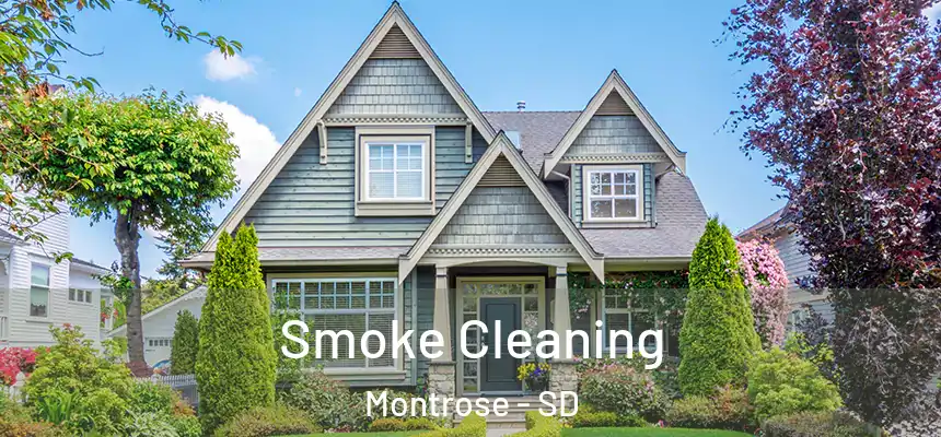  Smoke Cleaning Montrose - SD