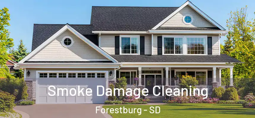  Smoke Damage Cleaning Forestburg - SD