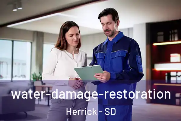  water-damage-restoration Herrick - SD