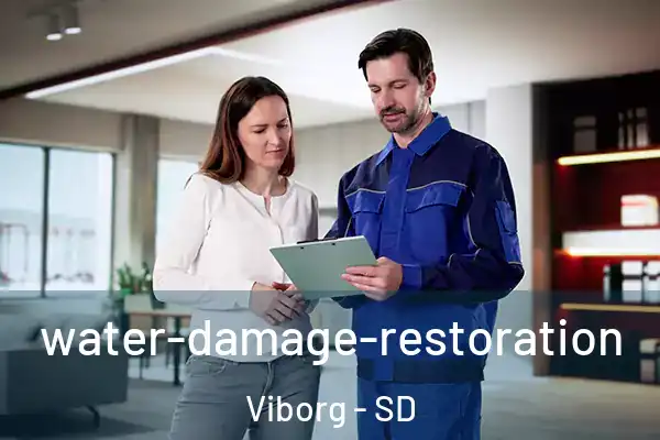 water-damage-restoration Viborg - SD