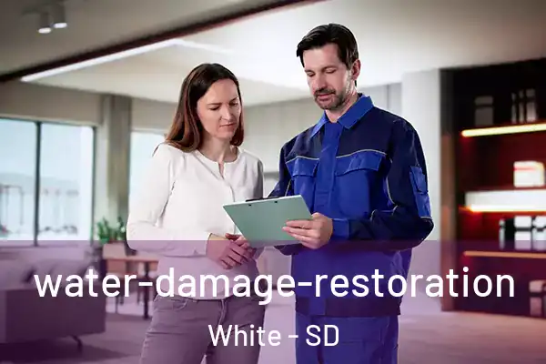 water-damage-restoration White - SD